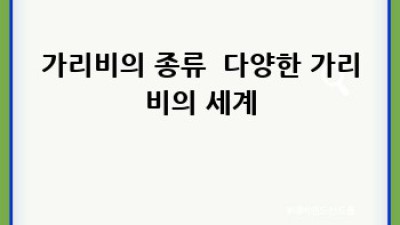 가리비조개 완벽 가이드: 맛과 영양, 손질까지!