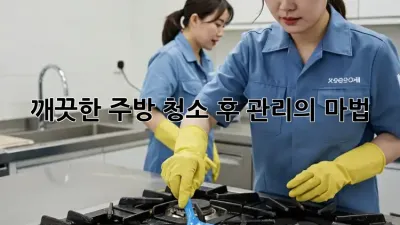 깨끗한 주방, 청소 후 관리의 마법 ✨